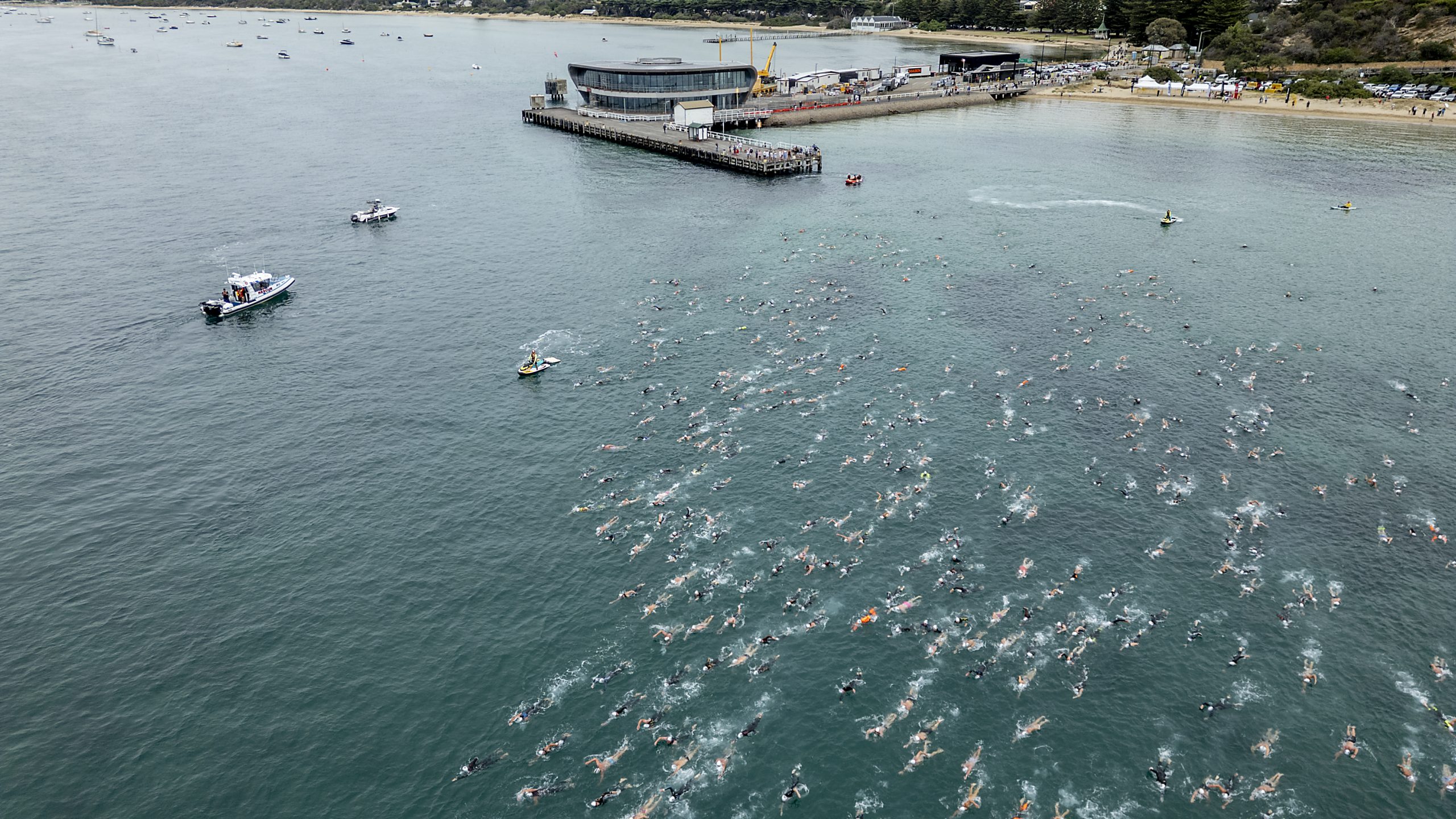 Image 3 - Swimming Journey