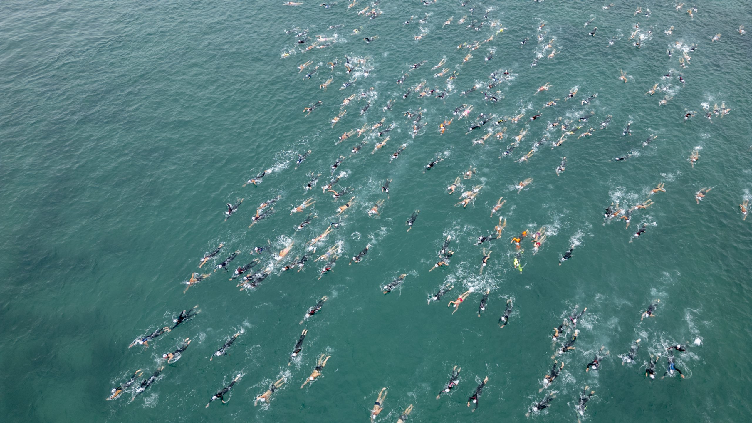 Image 4 - Bay Swimming